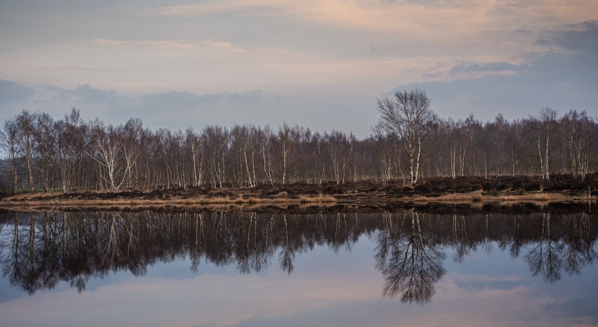 2023 03 18  xt 5   3096